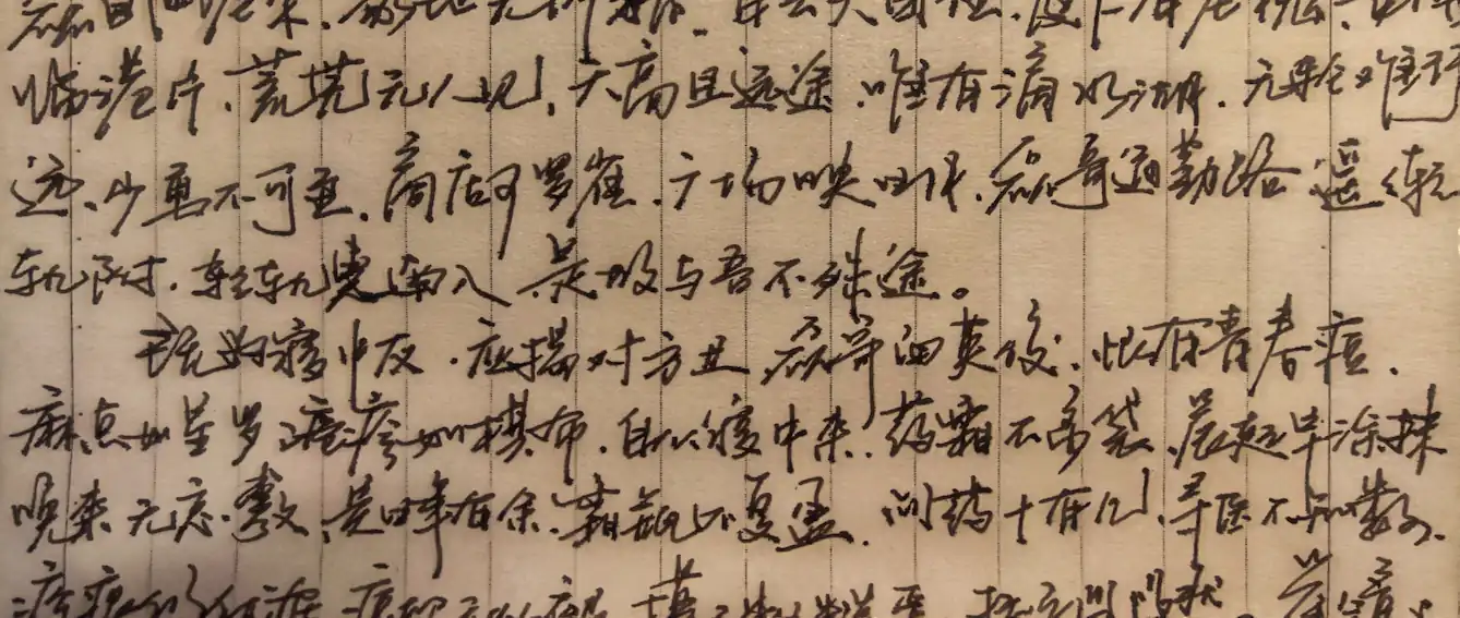 磊哥小传